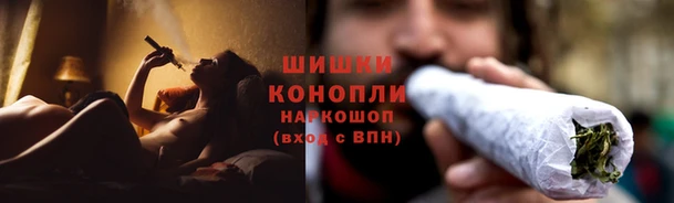 шишки Волосово