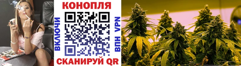 Бошки Шишки планчик  Купить закладки  Великий Устюг 